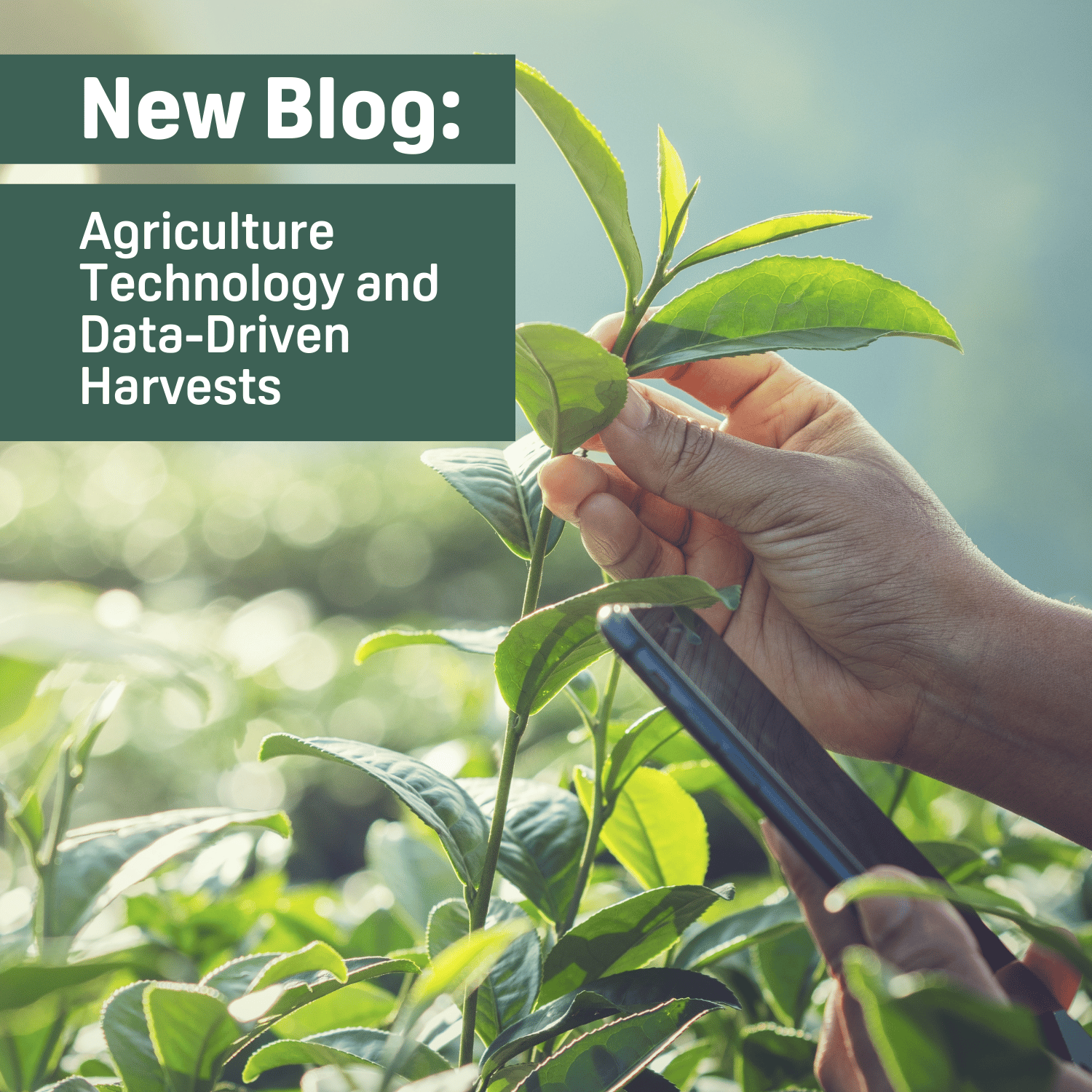 Agriculture Tech 1500X1500