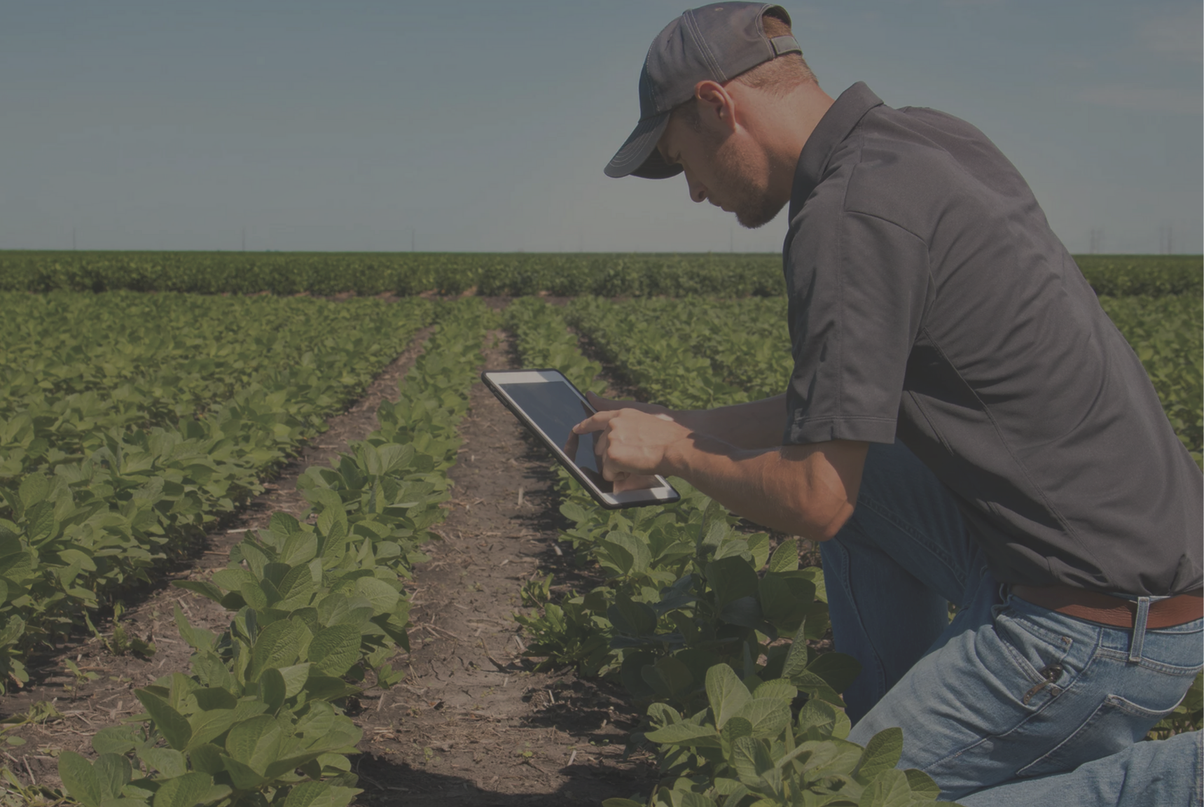 Adsız Tasarım Optimized