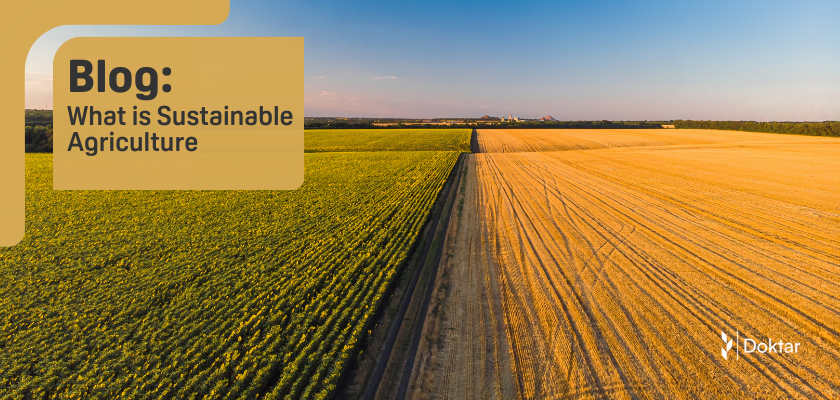 What is Sustainable Agriculture?