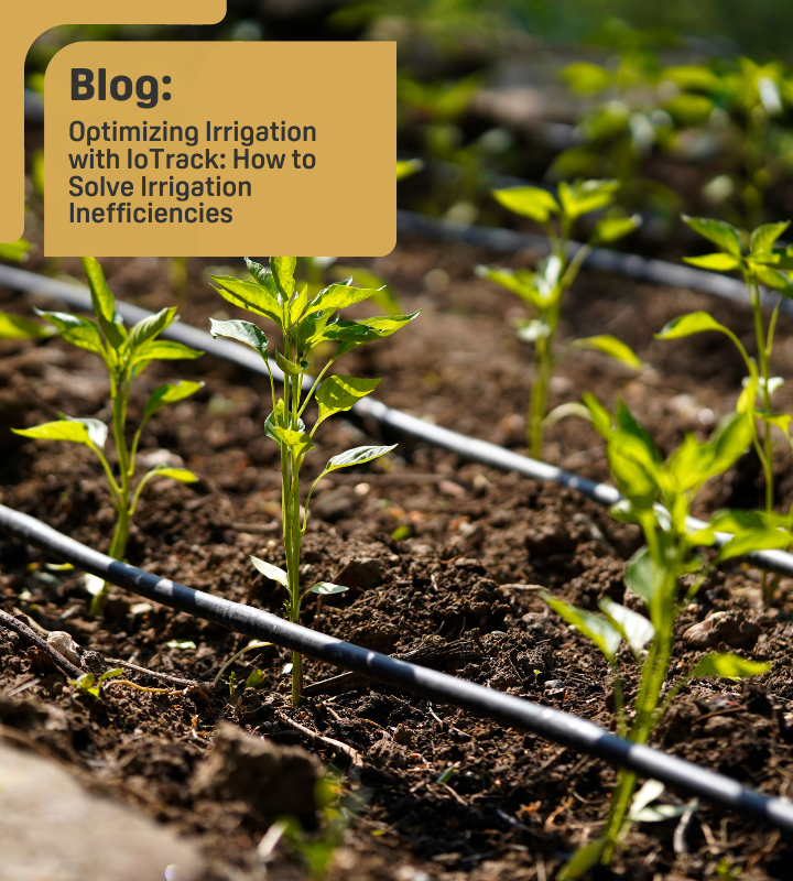 Irrigation Inefficiency 720X800