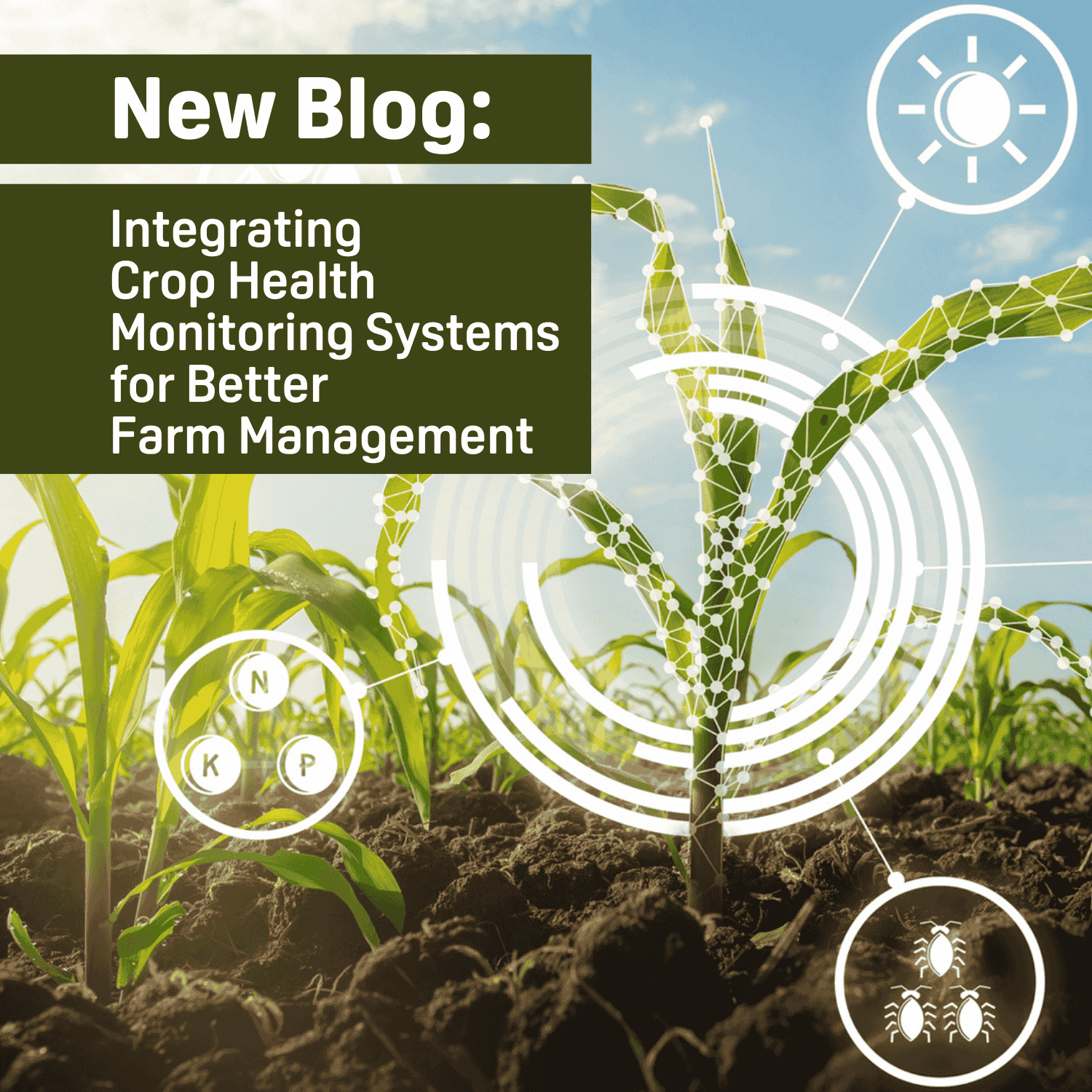 BLOG 1500X1500png Min