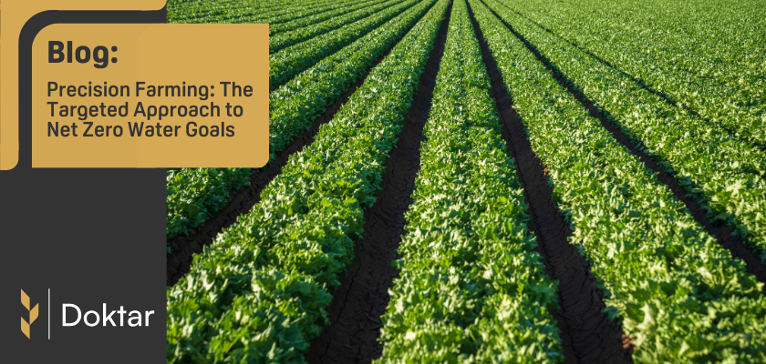 Precision Farming: The Targeted Approach to Net Zero Water Goals