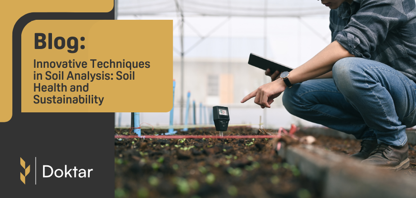 Innovative Techniques in Soil Analysis: Soil Health and Sustainability