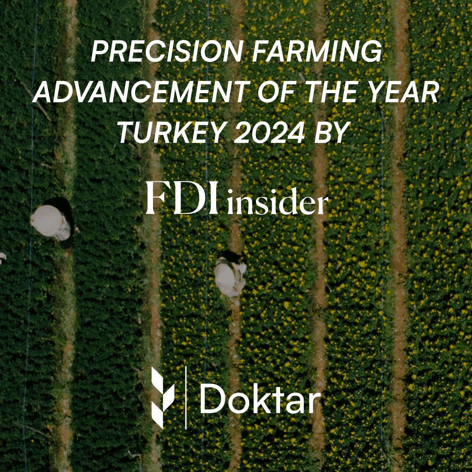 WE ARE IN THE FOODTECH (1000 X 1000 Piksel)