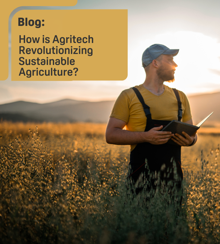How Is Agritech Revolutionizing Sustainable Agriculture Hero Image