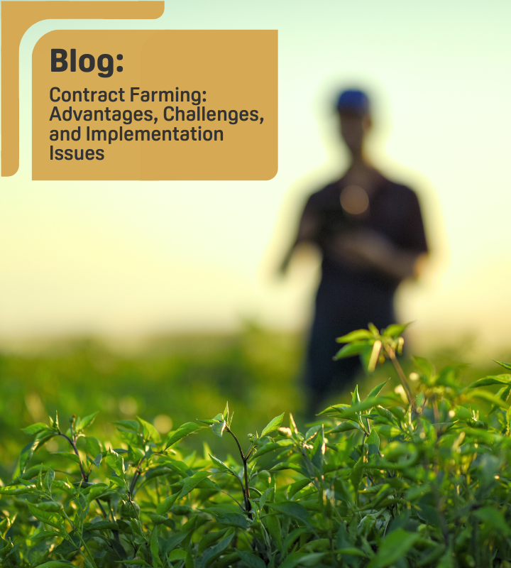 Blog Diğer Ölçü 2 720X800